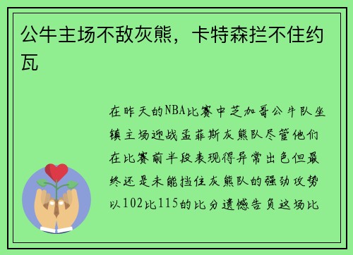 公牛主场不敌灰熊，卡特森拦不住约瓦