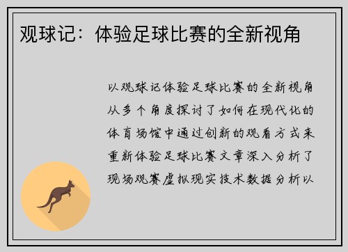 观球记：体验足球比赛的全新视角
