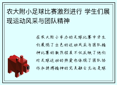 农大附小足球比赛激烈进行 学生们展现运动风采与团队精神