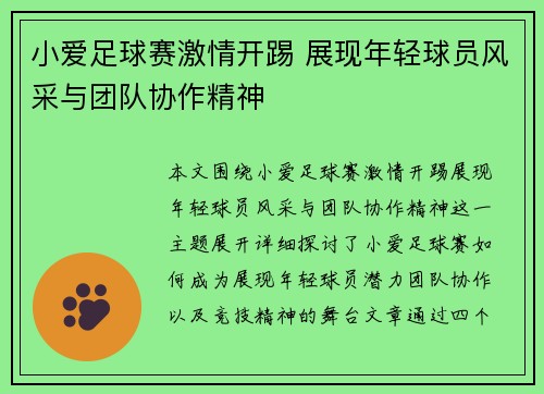 小爱足球赛激情开踢 展现年轻球员风采与团队协作精神