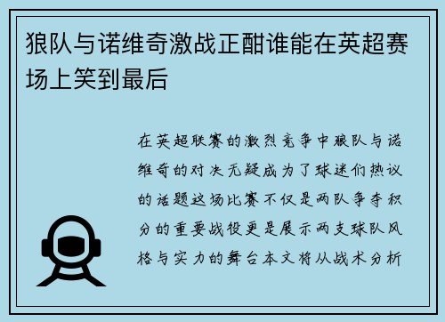 狼队与诺维奇激战正酣谁能在英超赛场上笑到最后