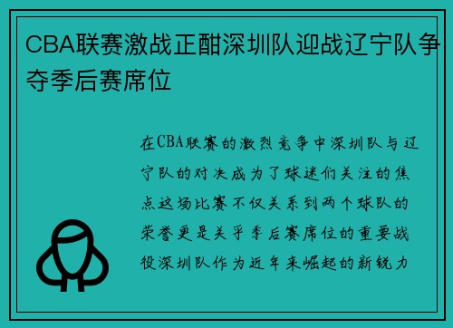 CBA联赛激战正酣深圳队迎战辽宁队争夺季后赛席位