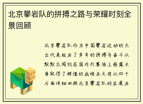 北京攀岩队的拼搏之路与荣耀时刻全景回顾